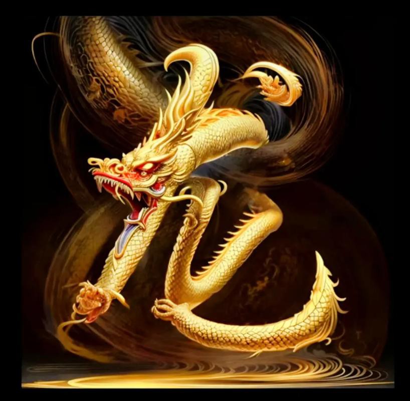 給我推薦一些金龍微信頭像 龍魚百科 第1張 給我推薦一些金龍微信頭像 給我推薦一些金龍微信頭像 龍魚百科 第1張