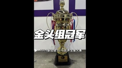 世界龍魚大賽:世界龍魚大賽評判標準 龍魚百科 第3張 世界龍魚大賽:世界龍魚大賽評判標準 世界龍魚大賽:世界龍魚大賽評判標準 龍魚百科 第3張