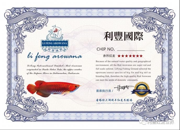 龍魚證書怎么查