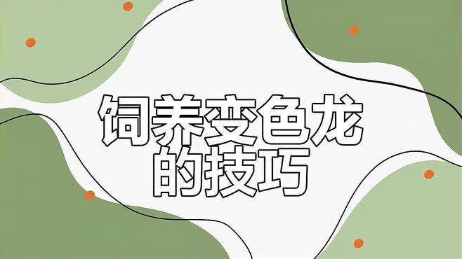 藍(lán)帆變色龍魚怎么養(yǎng) 藍(lán)帆變色龍魚怎么養(yǎng) 龍魚百科 第5張