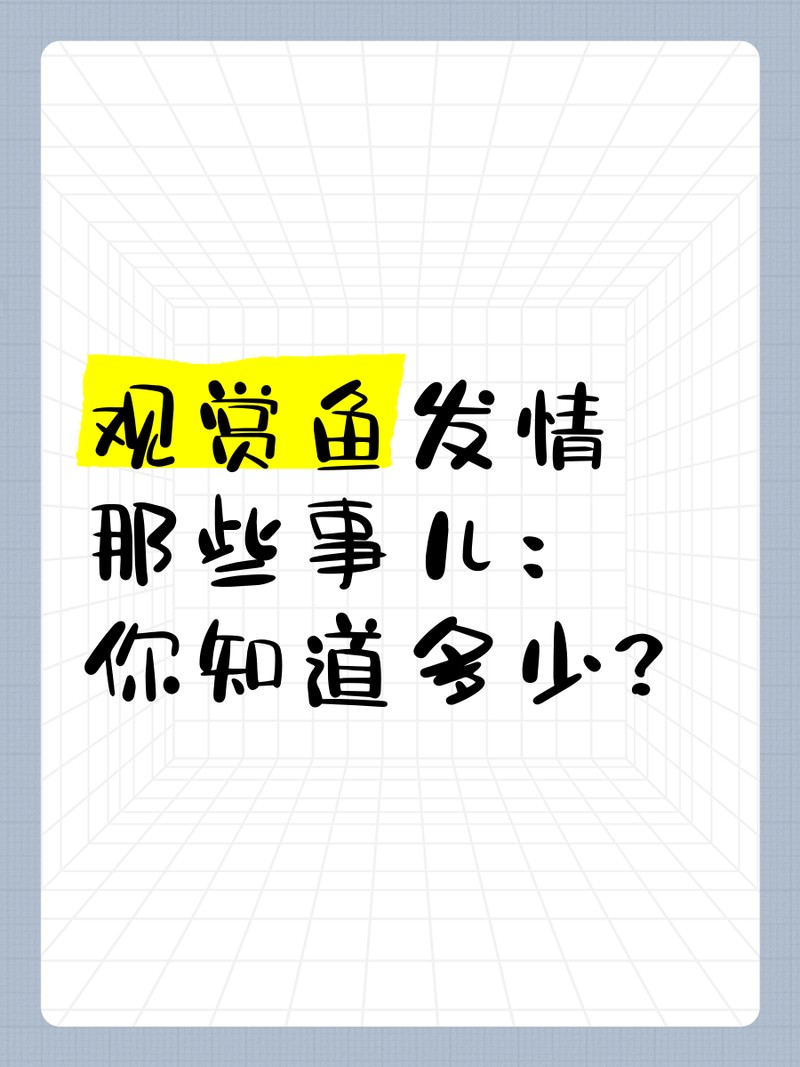 紅金龍魚發情期如何處理