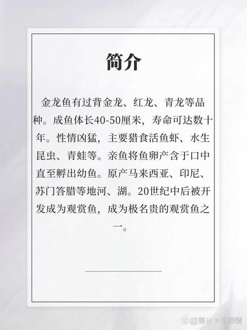 龍魚長啥樣子圖片