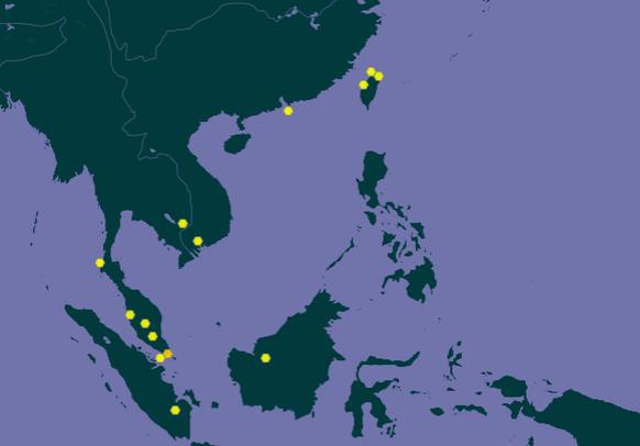 金龍魚是金槍魚嗎圖片