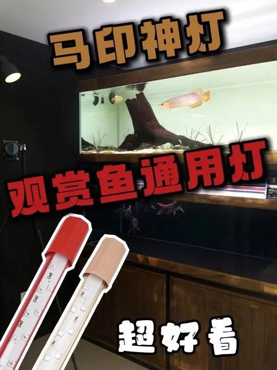 馬印側(cè)掛烤燈的具體價(jià)格是多少？