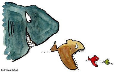 銀龍魚眼睛發(fā)白是什么原因（銀龍魚眼睛發(fā)白可能由多種原因造成，）