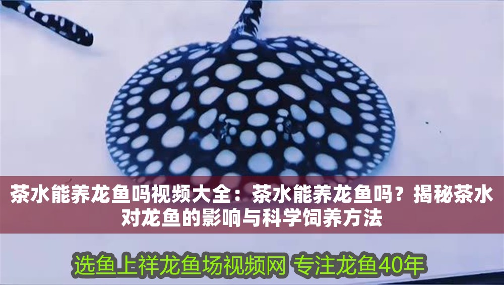 茶水能養(yǎng)龍魚(yú)嗎視頻大全：茶水能養(yǎng)龍魚(yú)嗎？揭秘茶水對(duì)龍魚(yú)的影響與科學(xué)飼養(yǎng)方法