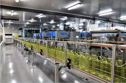 金龍魚河南工廠