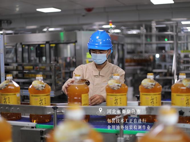 金龍魚河南工廠