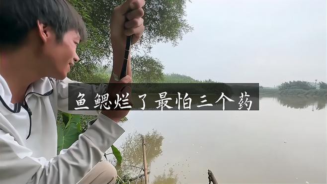哪些品牌的藥物對治療龍魚鰓蓋爛洞有效？ 哪些品牌的藥物對治療龍魚鰓蓋爛洞有效？ 龍魚百科 第1張