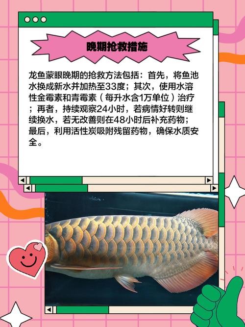 龍魚病癥與治療方法圖片