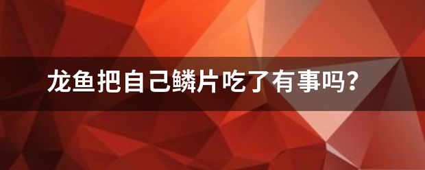 龍魚掉鱗潰爛怎么辦：龍魚吃下的鱗片能夠消化嗎