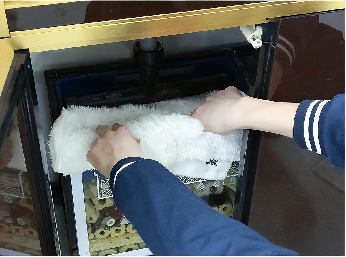 龍魚缸過濾棉多久洗一次 龍魚缸過濾棉多久洗一次 龍魚百科 第3張