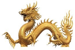 高清金龍魚瓶底圖片哪里可以找到？ 高清金龍魚瓶底圖片哪里可以找到？ 龍魚百科 第35張