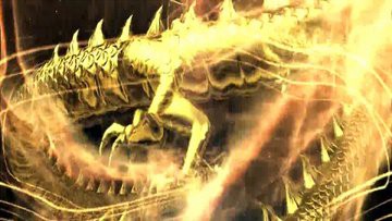 金龍魚的樣子圖片或者視頻素材