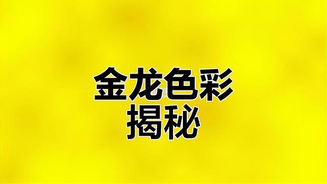 透缸養金龍如何發色