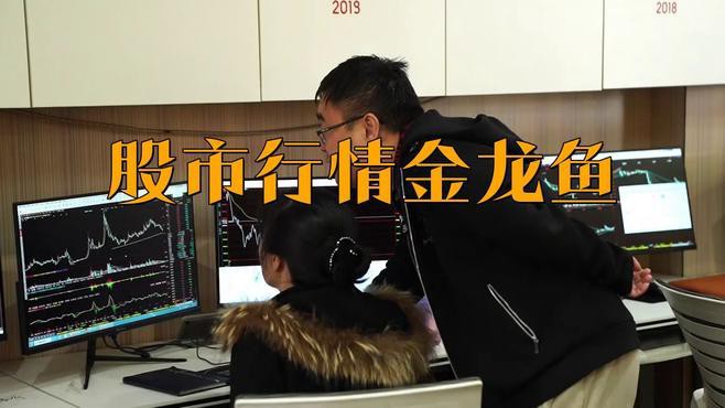 金龍魚市場行情近期走勢如何？