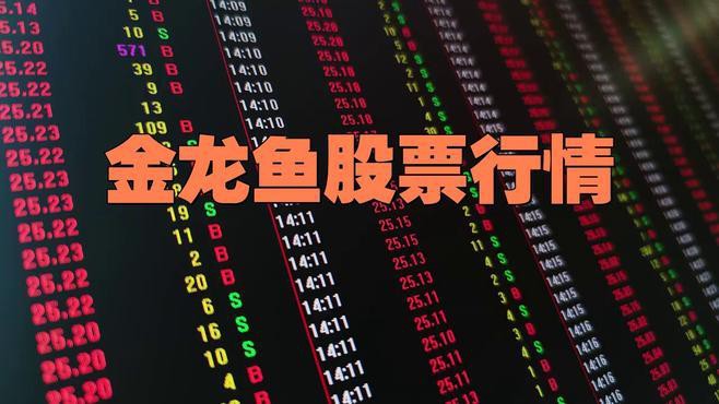 金龍魚市場行情近期走勢如何？