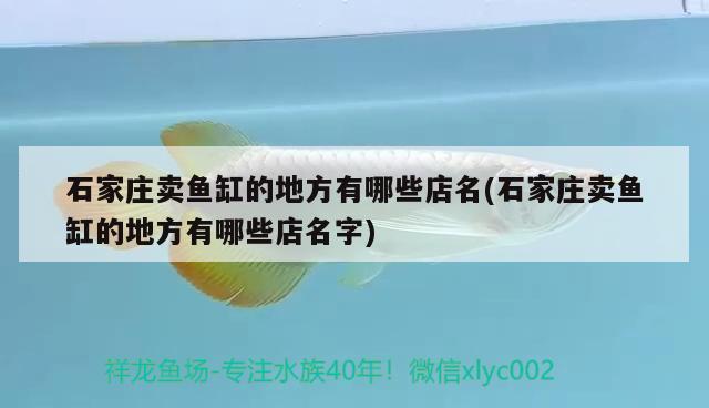 石家莊賣魚缸的地方有哪些店名(石家莊賣魚缸的地方有哪些店名字) 石家莊賣魚缸的地方有哪些店名(石家莊賣魚缸的地方有哪些店名字) 龍魚百科