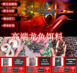 龍魚魚食品牌介紹文案：bessn南極磷蝦龍魚飼料的用戶評價