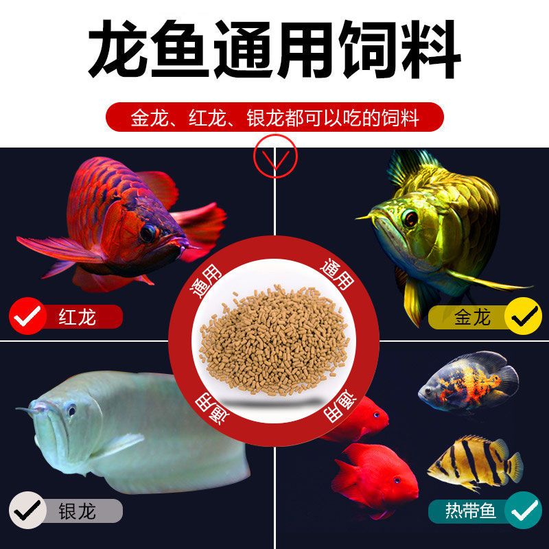 龍魚魚食品牌介紹文案：bessn南極磷蝦龍魚飼料的用戶評價