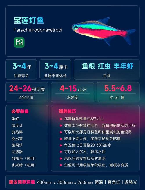 金龍魚燈光選擇圖解