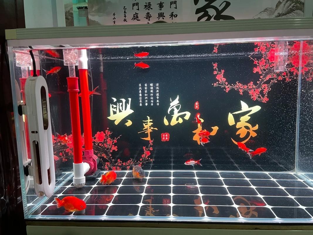 金龍魚燈光選擇圖解