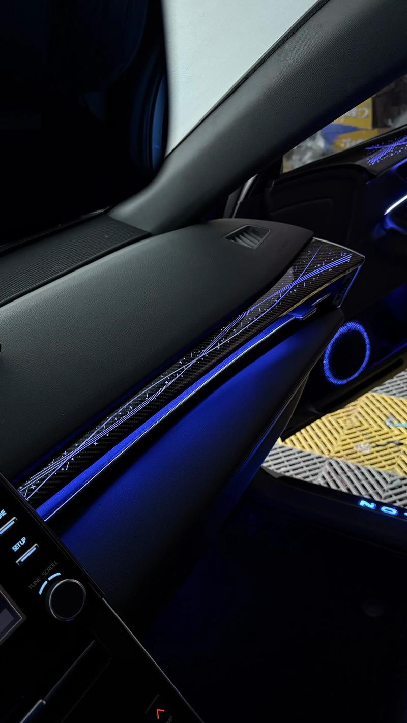 金龍魚燈光選擇圖解