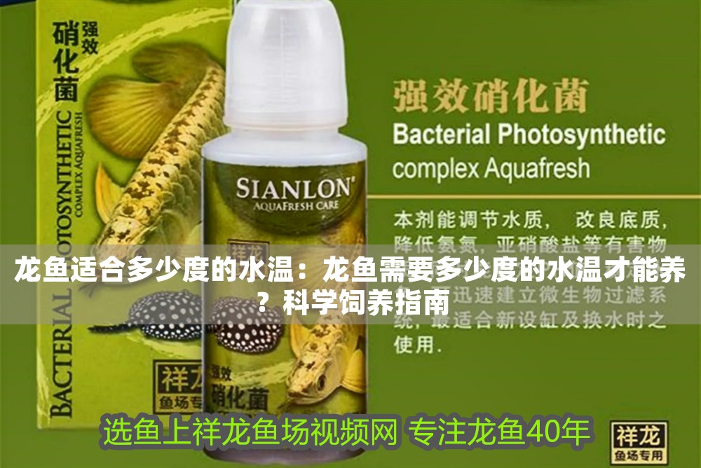 龍魚適合多少度的水溫：龍魚需要多少度的水溫才能養？科學飼養指南