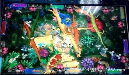 七彩神龍魚多少錢：\"七彩神龍魚多少錢\"信息