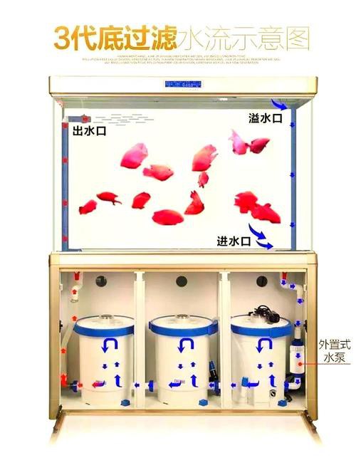 六角恐龍魚缸需要什么特殊設備？