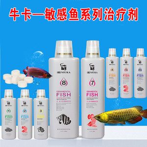 龍魚蒙眼要不要開燈：治療龍魚蒙眼期間是否應該開燈取決于龍魚的狀態和治療階段 龍魚蒙眼要不要開燈：治療龍魚蒙眼期間是否應該開燈取決于龍魚的狀態和治療階段 龍魚百科 第2張