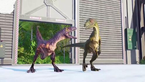 紅龍?jiān)凇犊铸堧p俠》中有哪些經(jīng)典戰(zhàn)斗？ 紅龍?jiān)凇犊铸堧p俠》中有哪些經(jīng)典戰(zhàn)斗？ 龍魚百科 第1張