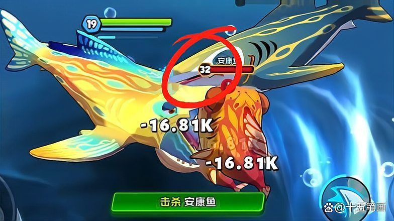藍喵魚吃魚巨鯤升到80級 龍魚百科 第2張 藍喵魚吃魚巨鯤升到80級 藍喵魚吃魚巨鯤升到80級 龍魚百科 第2張