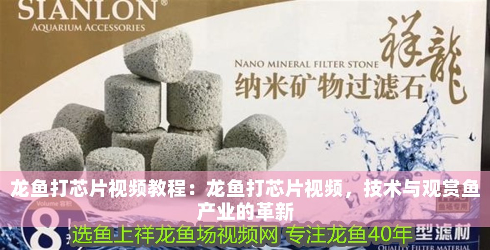 龍魚打芯片視頻教程：龍魚打芯片視頻，技術與觀賞魚產業(yè)的革新
