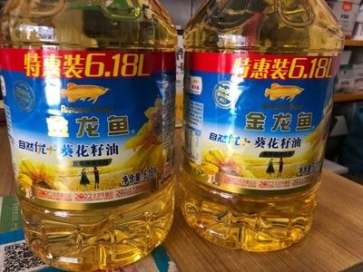 金龍魚驗真偽:如何辨別金龍魚產品的真偽 龍魚百科 第5張 金龍魚驗真偽:如何辨別金龍魚產品的真偽 金龍魚驗真偽:如何辨別金龍魚產品的真偽 龍魚百科 第5張