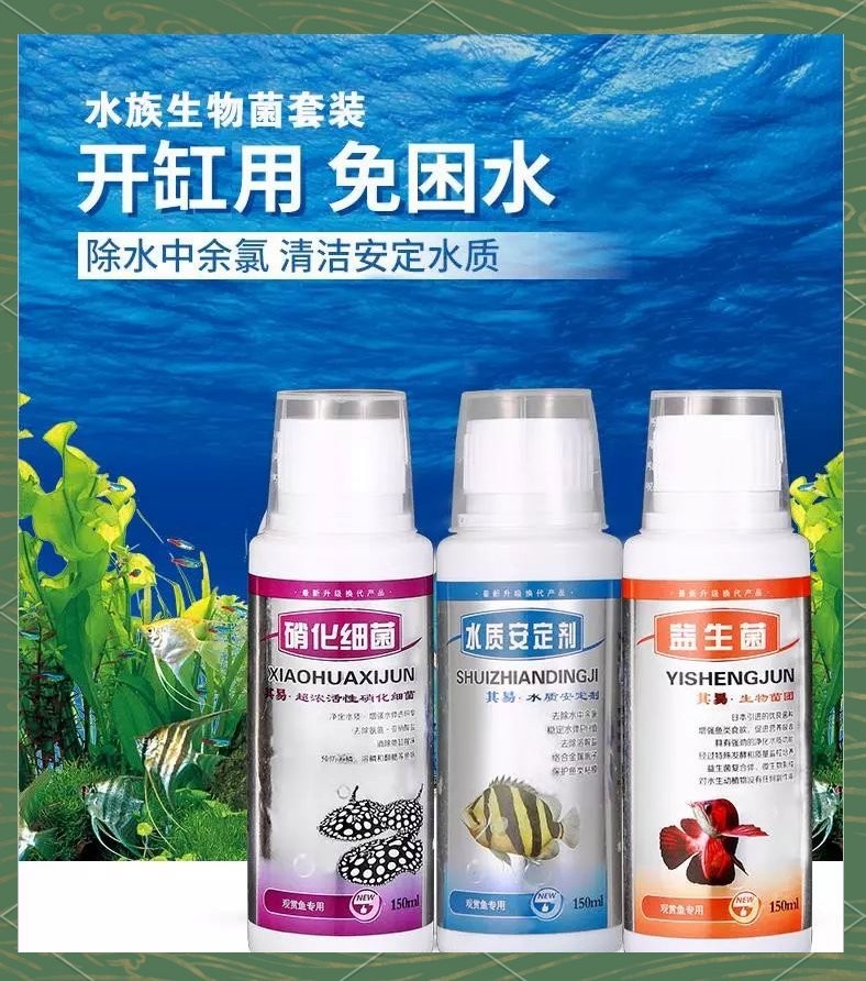 銀龍魚能用黃粉嗎