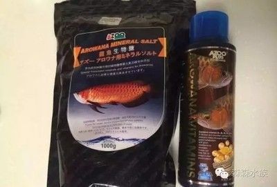 龍魚維他命使用方法和用量（如何自制龍魚維生素補充劑）