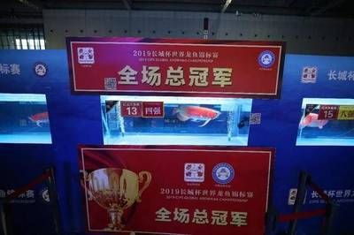 龍魚錦標賽冠軍是誰啊，2023年長城杯世界龍魚錦標賽冠軍是誰