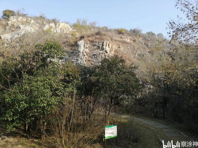 巢湖龍魚化石 巢湖龍魚化石 龍魚百科 第14張