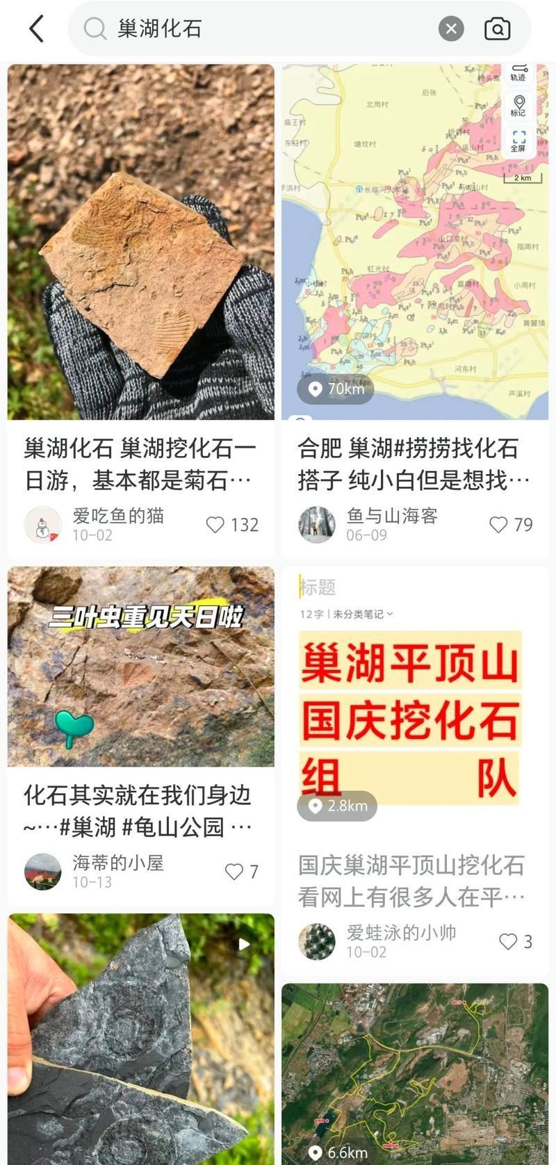 巢湖龍魚化石 巢湖龍魚化石 龍魚百科 第22張