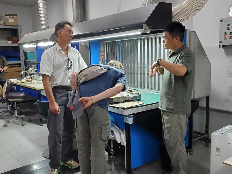 巢湖龍魚化石 巢湖龍魚化石 龍魚百科 第21張