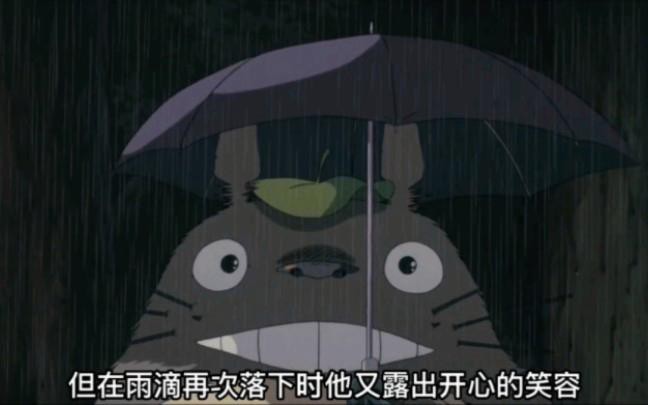 有哪些寵物貓適合與龍貓一起養(yǎng)？