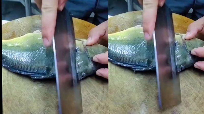 金龍魚的做法大全