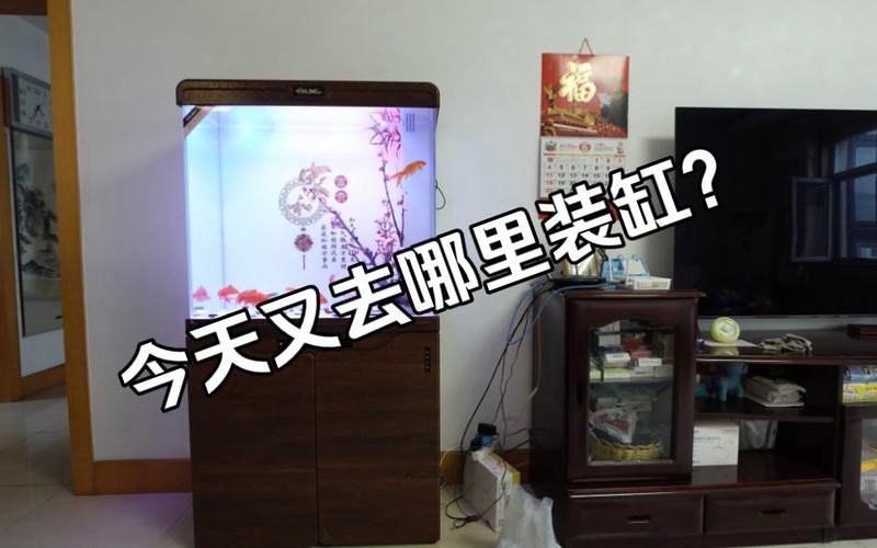 西龍魚缸安裝圖