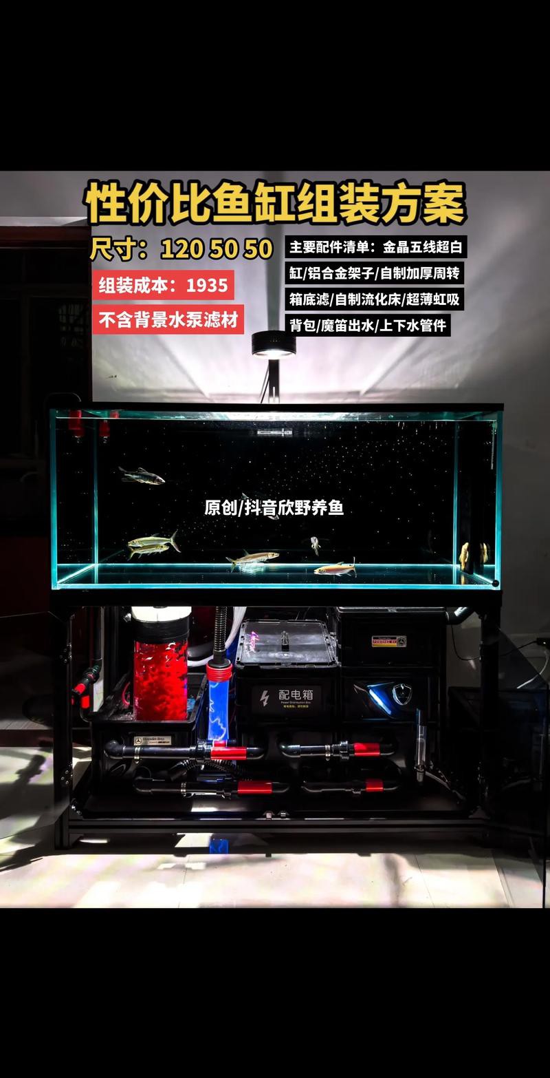西龍魚缸安裝圖