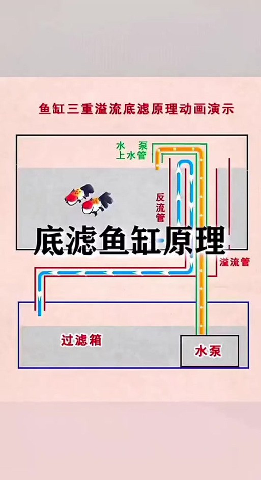 西龍魚缸安裝圖