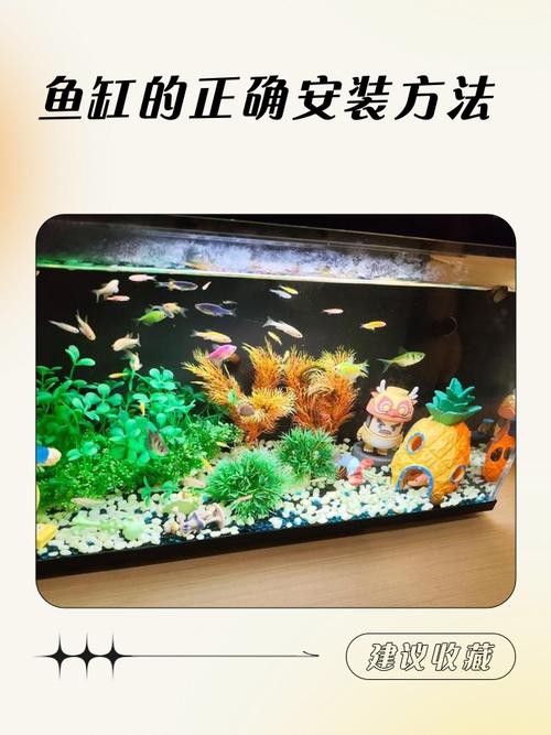 西龍魚缸安裝圖