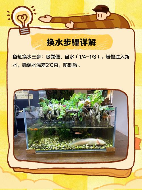 西龍魚缸安裝圖
