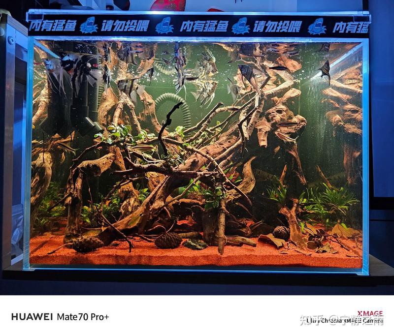 西龍魚缸安裝圖