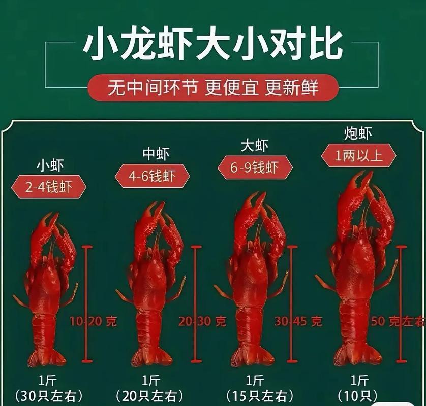 紅龍蝦的市場價格如何